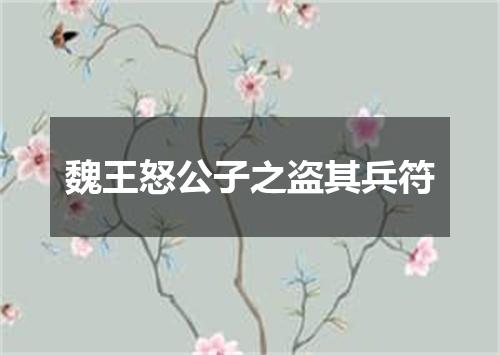 魏王怒公子之盗其兵符