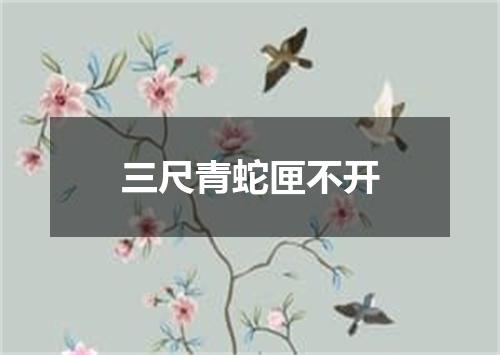 三尺青蛇匣不开