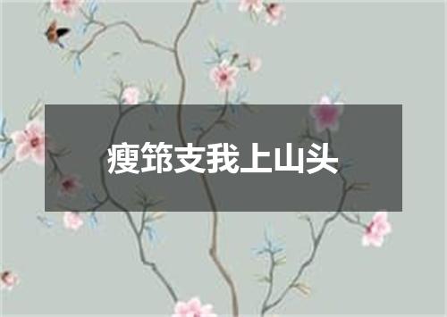 瘦筇支我上山头