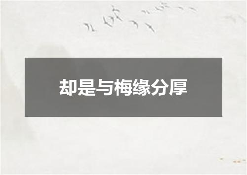 却是与梅缘分厚