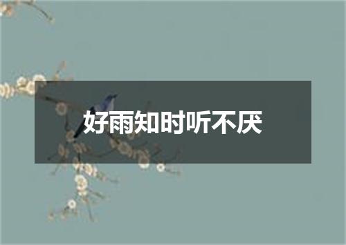 好雨知时听不厌