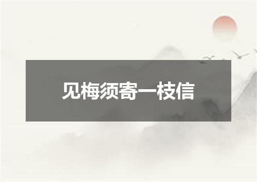 见梅须寄一枝信