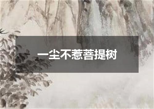 一尘不惹菩提树