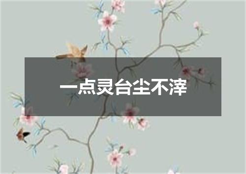 一点灵台尘不滓