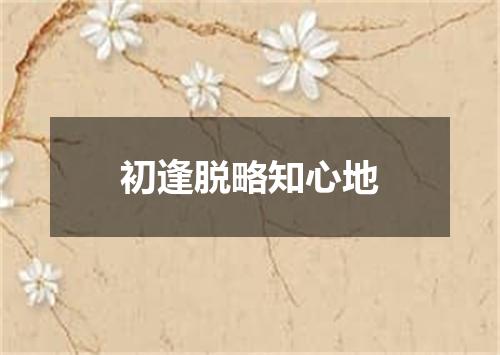 初逢脱略知心地