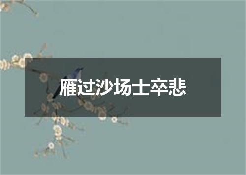 雁过沙场士卒悲