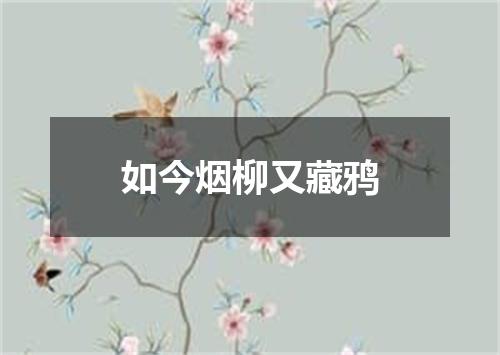 如今烟柳又藏鸦