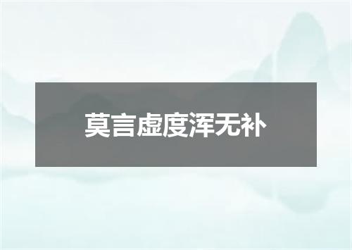 莫言虚度浑无补