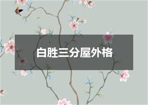 白胜三分屋外格