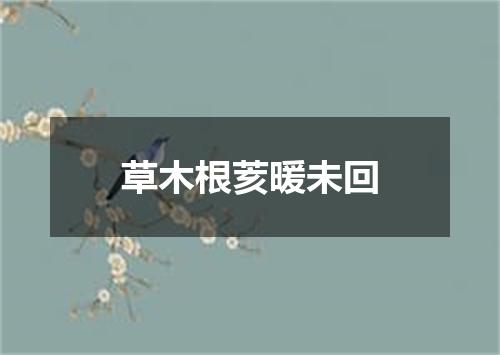 草木根荄暖未回