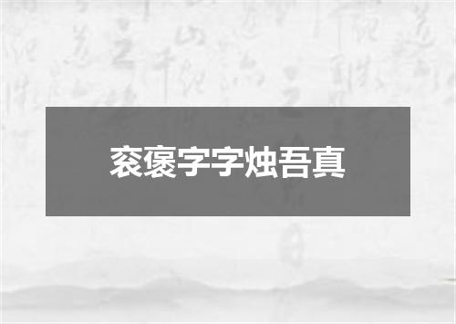 衮褒字字烛吾真