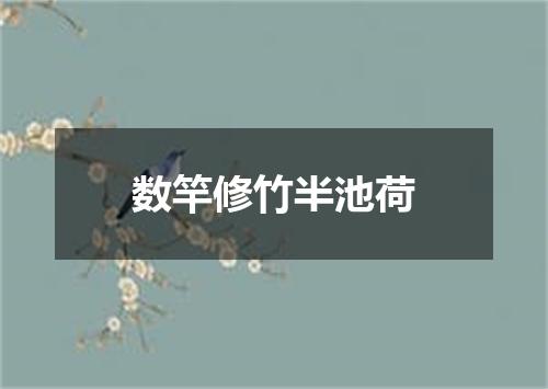 数竿修竹半池荷