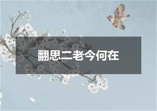翻思二老今何在