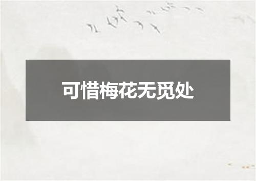 可惜梅花无觅处