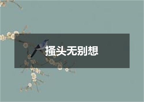搔头无别想