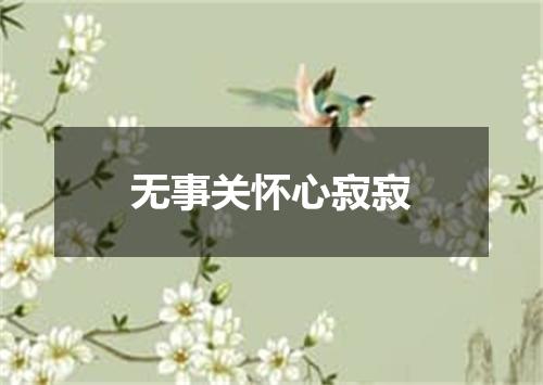 无事关怀心寂寂