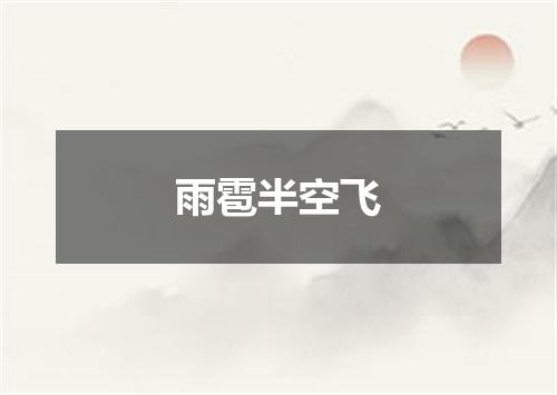 雨雹半空飞
