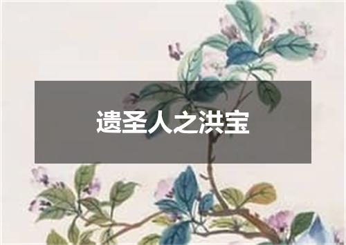 遗圣人之洪宝