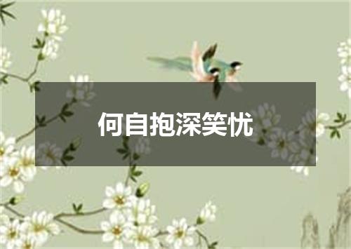 何自抱深笑忧