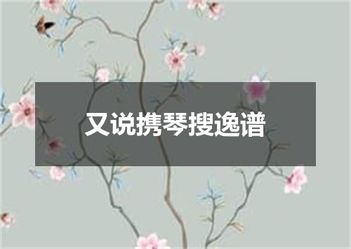 又说携琴搜逸谱