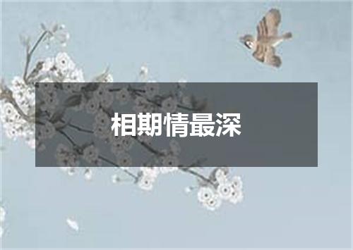 相期情最深