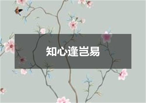 知心逢岂易