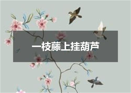 一枝藤上挂葫芦