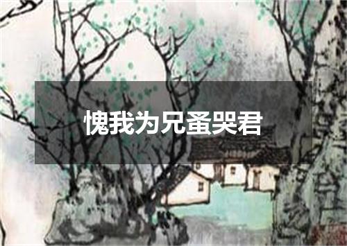 愧我为兄蚤哭君