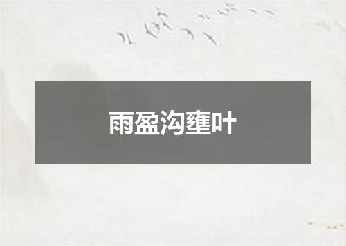 雨盈沟壅叶