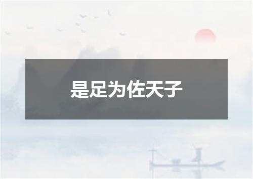 是足为佐天子