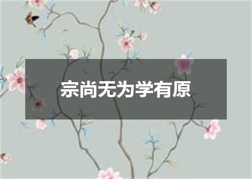 宗尚无为学有原