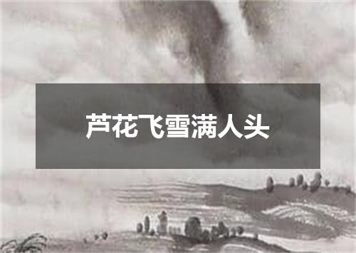 芦花飞雪满人头