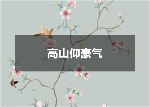 高山仰豪气