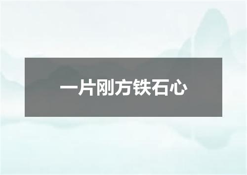 一片刚方铁石心