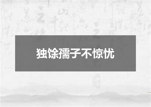 独馀孺子不惊忧
