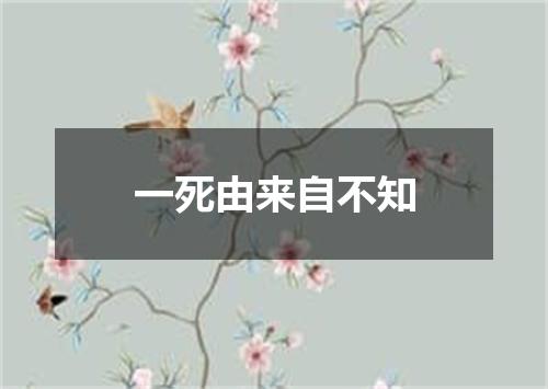一死由来自不知