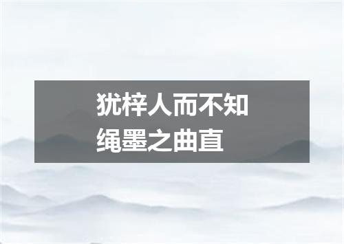 犹梓人而不知绳墨之曲直