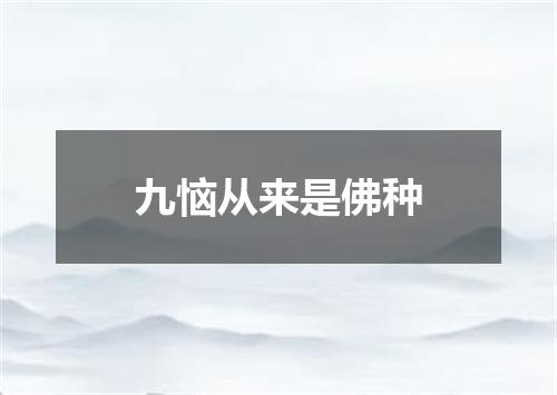 九恼从来是佛种