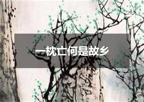 一枕亡何是故乡
