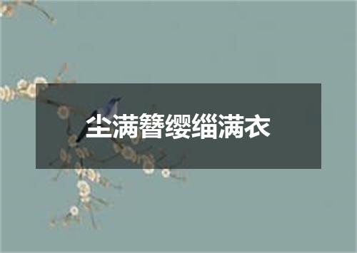 尘满簪缨缁满衣