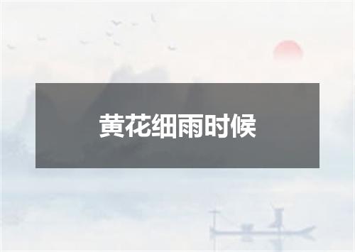 黄花细雨时候