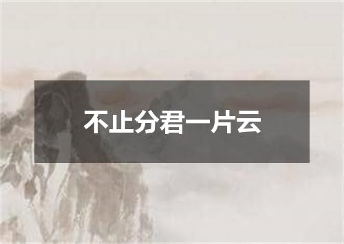 不止分君一片云