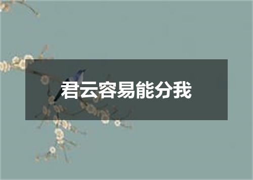 君云容易能分我