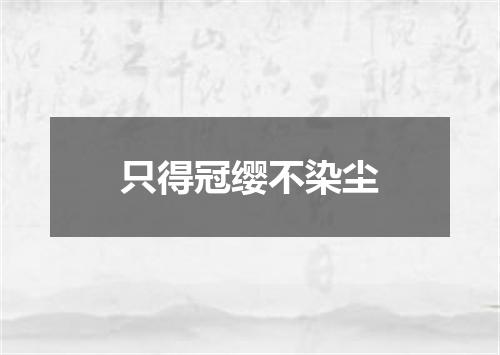 只得冠缨不染尘
