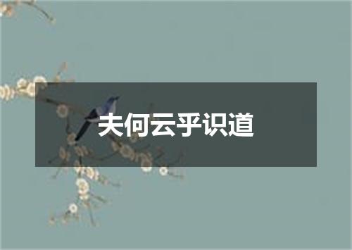 夫何云乎识道