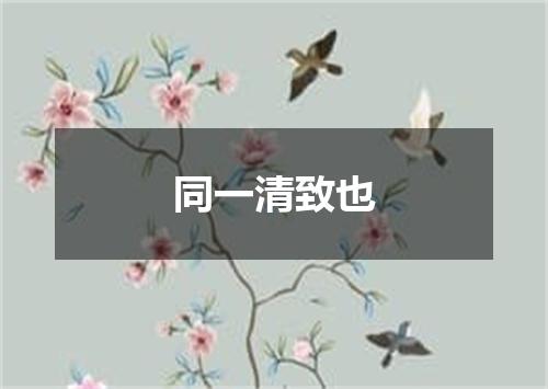 同一清致也