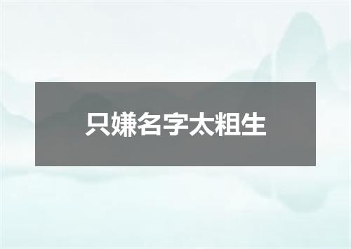 只嫌名字太粗生