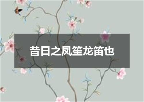 昔日之凤笙龙笛也