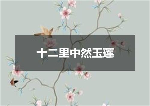 十二里中然玉莲