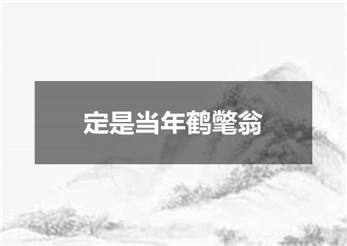 定是当年鹤氅翁